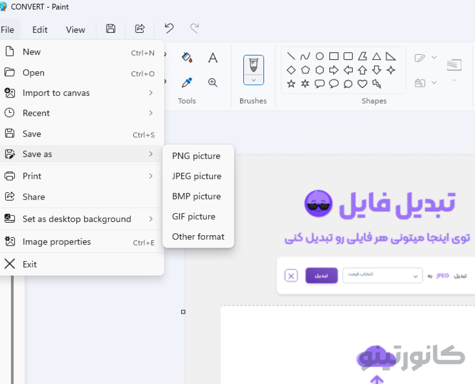 تغییر فرمت با paint